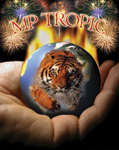 MP TROPIC D.O.O. - Fireworks Beograd - Photo logo 