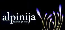 CVEĆARA ALPINIJA - Cveće, cvećare Beograd - Slika logo 