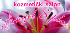 ANGEL S PLUS AND HAIDRESS SALON NINANA - Cosmetics salons Beograd - Photo logo 