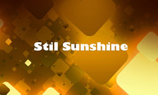 STIL SUNSHINE DOO - Odeća Beograd - Slika logo 
