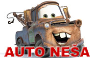 AUTO NEŠA - Автосервисы Beograd - Фото logo 