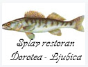DOROTEA LJUBICA SPLAV RESTORAN - Плоты Beograd - Фото logo 