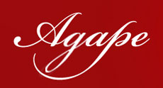 HOME FOR OLD AGAPE - Homes and care for the elderly Beograd - Photo logo 