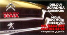 CITROEN CAR WASTE BRACA