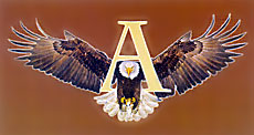 ALEKSANDAR BAR - Pubs Beograd - Photo logo 