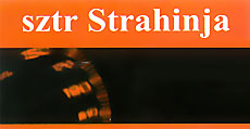 AUTO SERVIS STRAHINJA - Auto servisi Beograd - Slika logo 