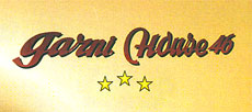 GARNI HOUSE 46 - Garni hoteli Beograd - Slika logo 