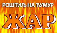 GRILL ŽAR - Gril, roštilj Beograd - Slika logo 