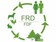 FRD - CREATIVE WORKSHOP - Painting studio Beograd - Photo logo 