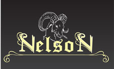 KAFANICA BAR NELSON - Kafane Beograd - Slika logo 