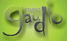 GAUDIO SCHOOL - Foreign languages schools Beograd - Photo logo 