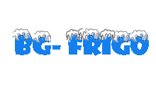 BG - FRIGO - Electro services Beograd - Photo logo 