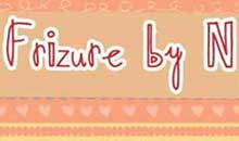 FRIZURE BY N - Frizerski saloni Beograd - Slika logo 
