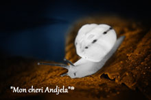 COSMETIC SALON MON CHERI ANĐELA - Cosmetics salons Beograd - Photo logo 