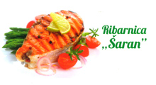 SARAN PADINA FISH MARKET - Fishing industry Beograd - Photo logo 