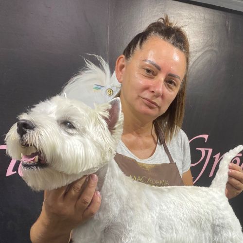Dijana Milićević MAGIC GROOM BY DIJANA MILIĆEVIĆ
