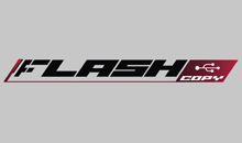TRANSLATION AGENCY FLASH - Translators, translation services Beograd - Photo logo 