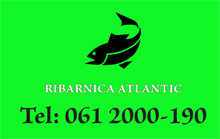 ATLANTIC FISH STORE - Fishing industry Beograd - Photo logo 