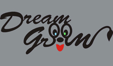 DREAM GROOM - ŠIŠANJE PASA