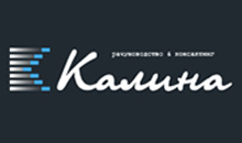 KALINA ACCOUNTING AND CONSULTING - Book-keeping agencies Beograd - Photo logo 