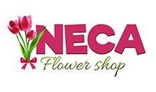 CVEĆARA NECA