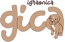 CHILDREN'S PLAYROOM AND BIRTHDAY PARTY VENUE GICA - Kids playgrounds Beograd - Photo logo 