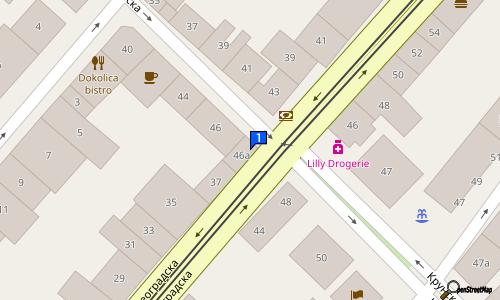 BRANISLAVA COLOVIC 46 Krunska st., Vracar, Centar