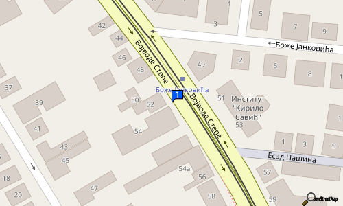CRNOBRNJA 56 Vojvode Stepe st., Vozdovac