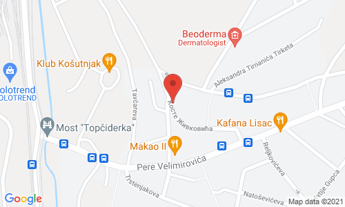 VILA DVOR - STARAČKI DOM Koste Živkovića 5, Dedinje
