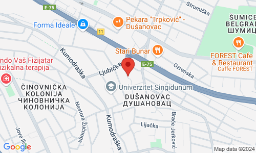 LOCKSMITH SHOP ZIS 11a Petra Gvojica st., Vozdovac