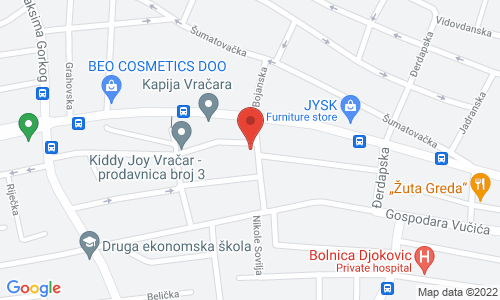 SPORTS ACADEMY KOCOVIC 5 Vladimira Karica st., Vracar
